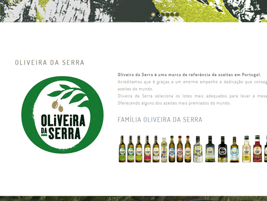 Oliveira da Serra Website