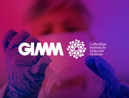 GIMM - Navigating the Frontiers of Discovery