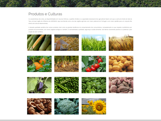 Website Agromais