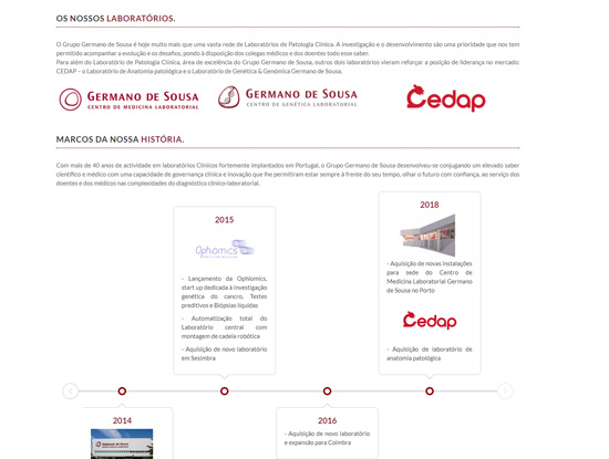 Website Institucional  Grupo Germano de Sousa